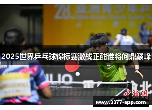 2025世界乒乓球锦标赛激战正酣谁将问鼎巅峰