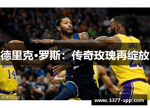 德里克·罗斯：传奇玫瑰再绽放