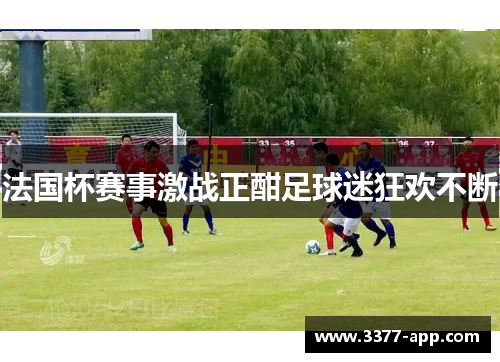 法国杯赛事激战正酣足球迷狂欢不断