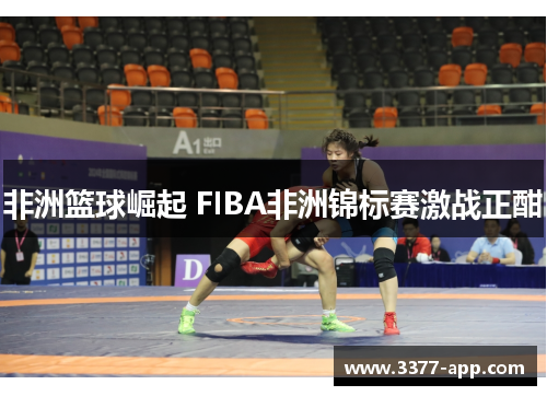 非洲篮球崛起 FIBA非洲锦标赛激战正酣