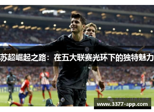 苏超崛起之路：在五大联赛光环下的独特魅力